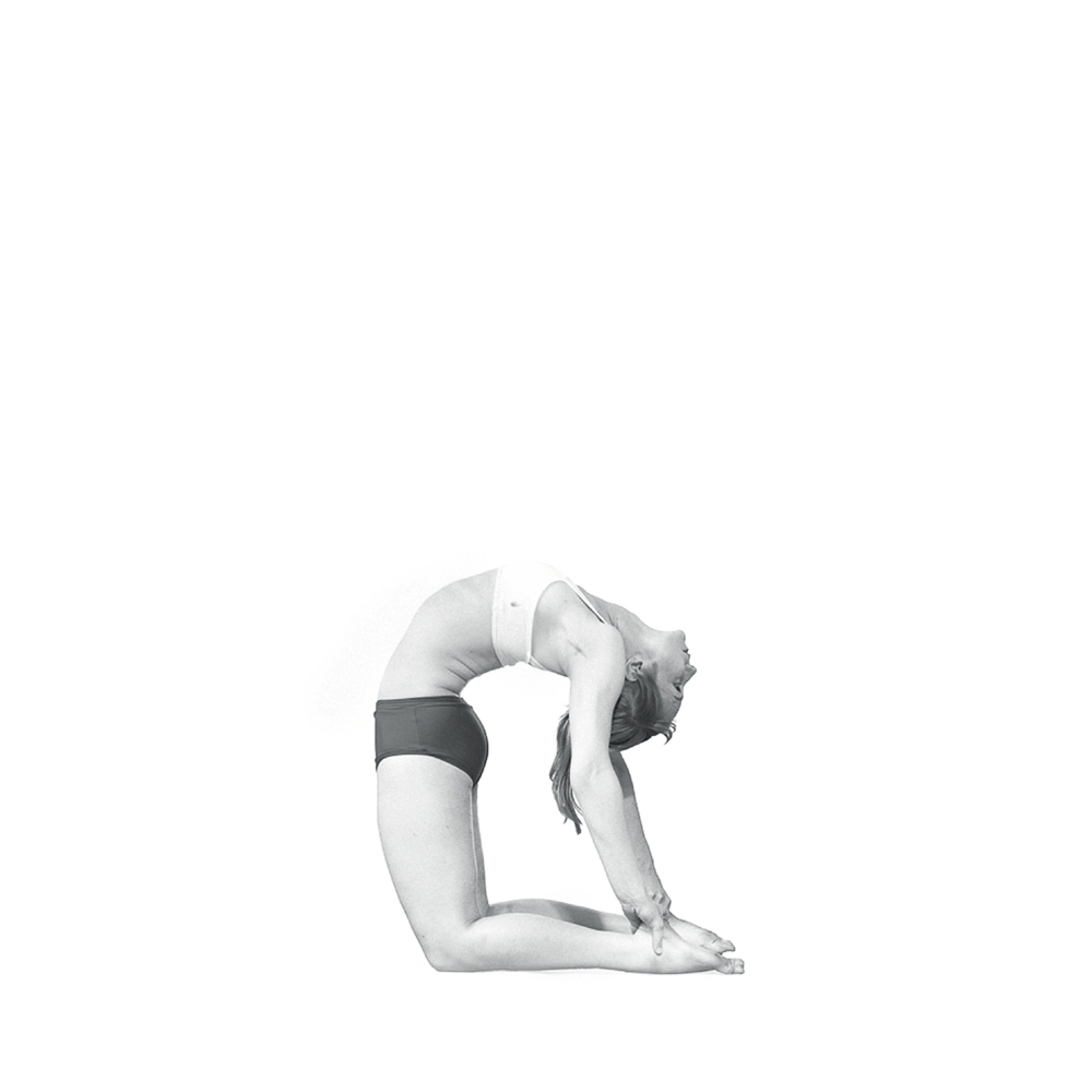 Bikram_Yoga_Postura_22